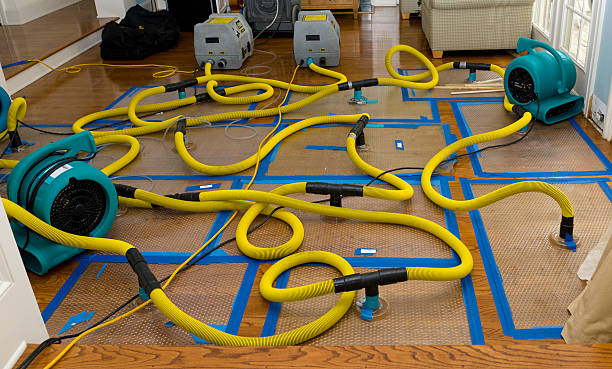 Professional Sewage Cleanup technician working in Bartow, FL